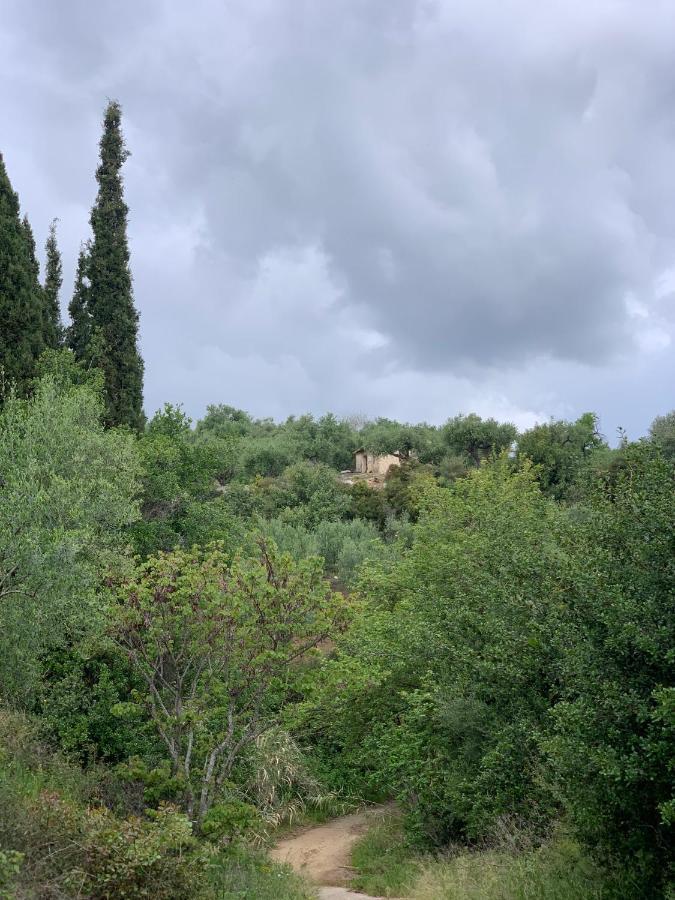 Villa Delfini Храні Екстер'єр фото